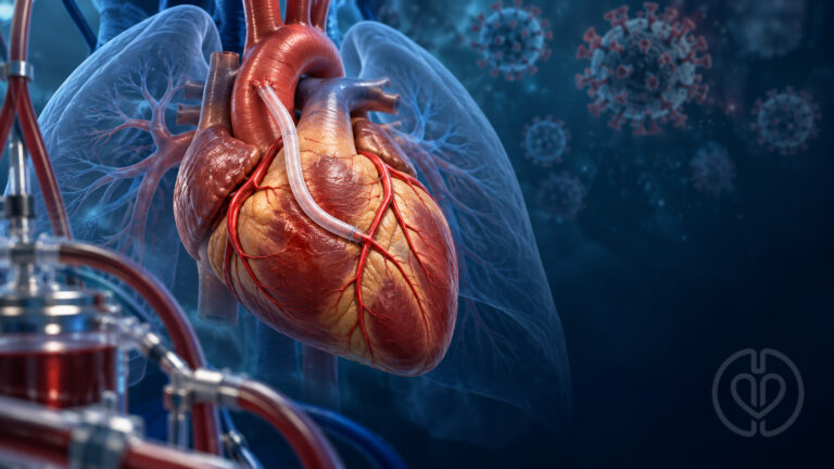 CABG after asymptomatic COVID-19: editorial illustration of a heart with a coronary bypass graft, lungs, and extracorporeal circuit