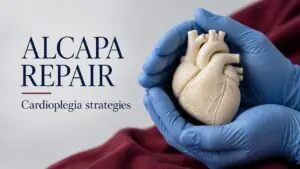 Conceptual illustration of gloved hands protecting a heart teaching model